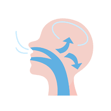 Illustration of a human head profile showing airflow paths for breathing, with arrows indicating the direction through the mouth and nasal passages